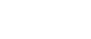 Partner 4